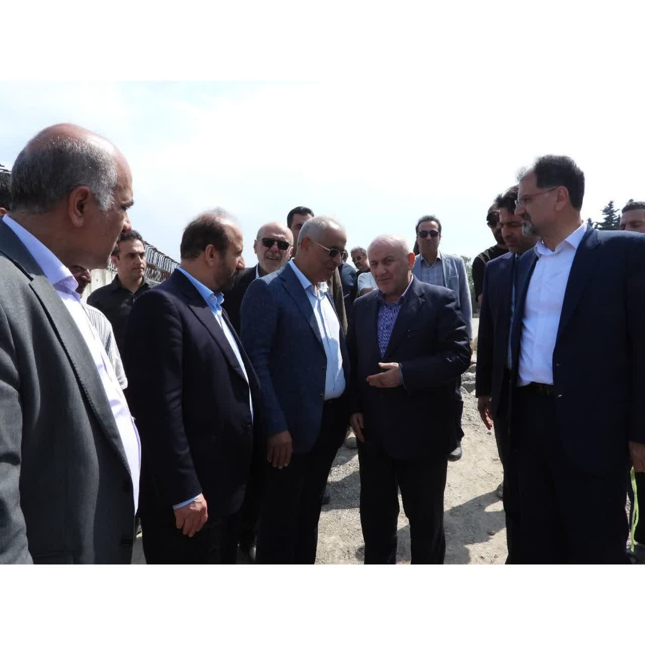 تصویر شاخص
